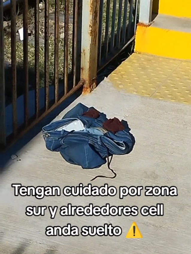 tengan cuidado zona por zona sur y alrededores cell anda suelto ⚠️ #memes #dragonball #argentina #parati #tiktok 