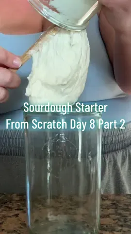 Sourdough Starter From Scratch Day 8 Part 2 ✌🏼 #sourdough #starter #tutorial #comfortcreator 