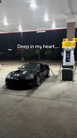 I’ve always hated you. #cammed #corvette #fyp #viral #carsoftiktok 