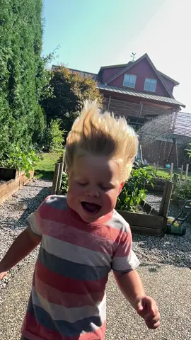 Who knew an air blower could be such a joy and so dang funny! #dadsoftiktok #fyp #seektheattic #dadandson #slowmotion @holliemorris941 