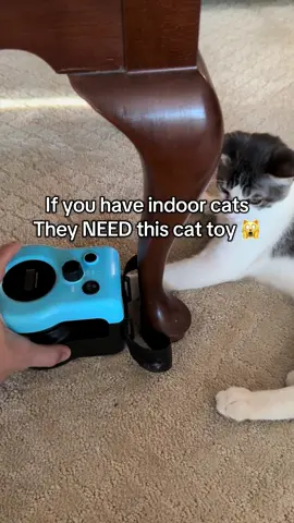 Indoor cat? No problem 🏠 This toy brings the adventure inside—custom speed & size for endless play. #tiktokmademebuyit #interactivecattoy #catsoftiktok #indoorcats #petmusthaves  