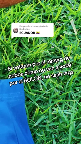 Respuesta a @ibaillanos#bai #bolon #mundialdedesayunos #593 