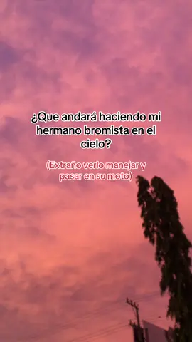 #hermano 🕊️