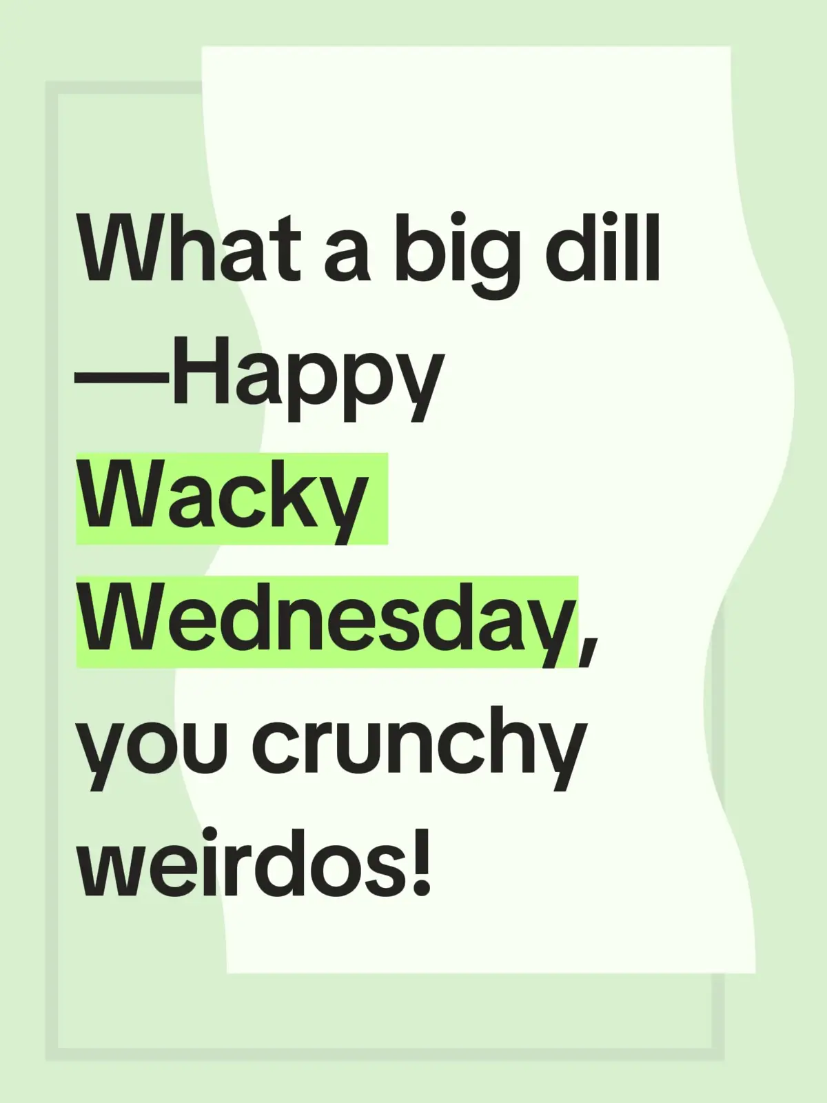 What a big dill—Happy Wacky Wednesday, you crunchy weirdos #fyp #crunchypickle #wackywednesday 