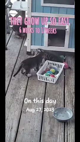 #onthisday