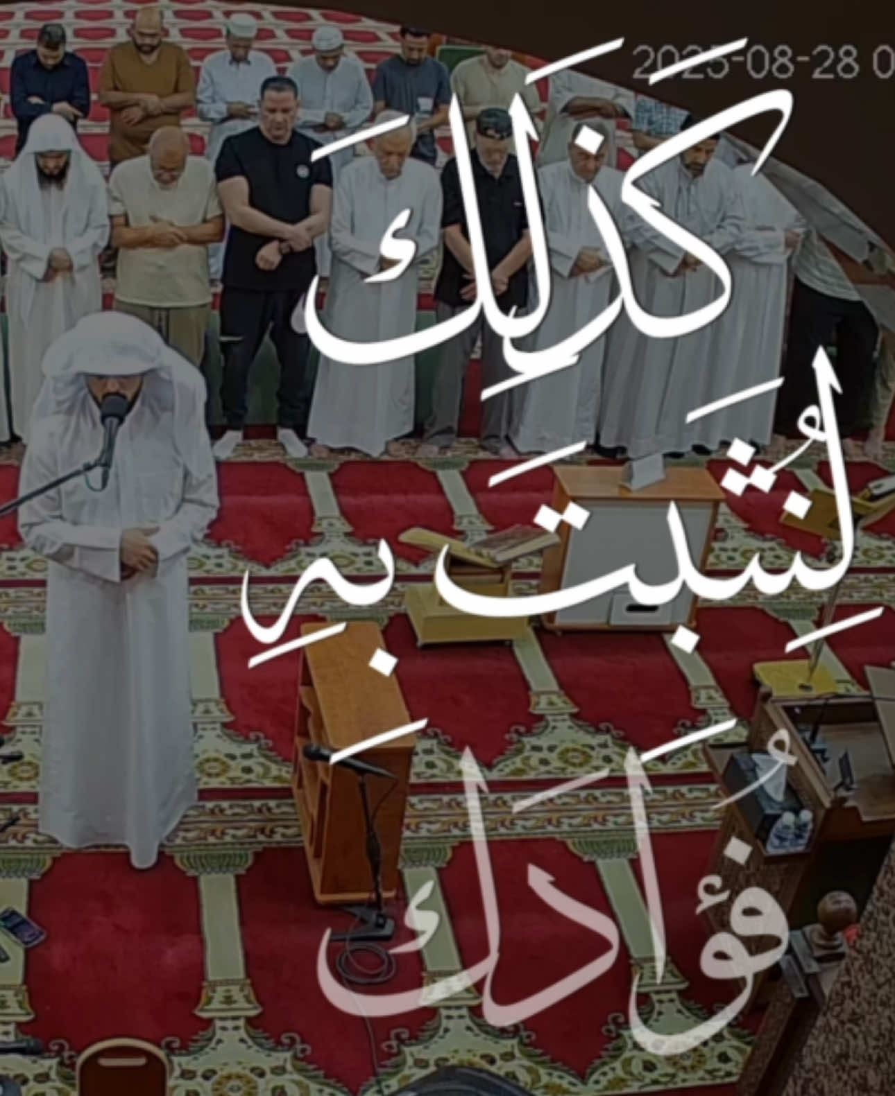 #شايع_التميمي 