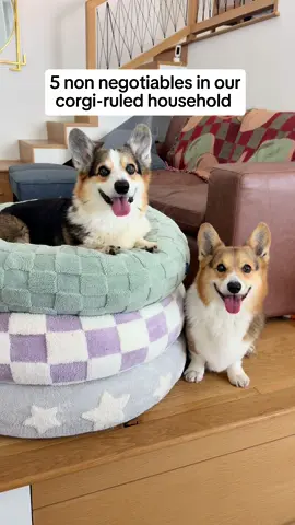 Keeping the boys well-groomed, well-snuggled and allowing them sacred time to howl to the loafcestors are a must in this household!  And Freshly Crafted Meals from @Open Farm Pet are non-negotiable - 100% human-grade, ethically and sustainably sourced, vet-approved…and, most importantly, corgi-approved 😋.  Use our code BRADY50 and link in bio to get 50% off your first box of Open Farm until September 2! 🐾 #openfarmpartner #freshdogfood #dogfood 