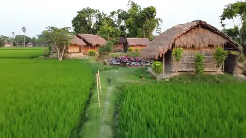 🦋🌱আমি আমার দেশকে খুব ভালোবাসি🥰🥰