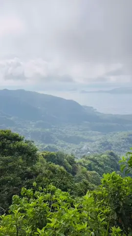 Tagaytay feels #travel#traveltiktok #nature #tagaytay #ride #fyp #fyppppppppppppppppppppppp 