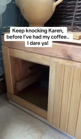 Don’t even think about it #coffee #PetsOfTikTok #pet #morningroutine #cuteanimals 