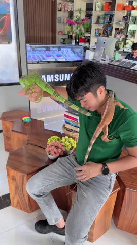 អ្នកស្រលាញ់សត្វ#rafathphoneshop #ប្រទេសខ្ញុំត្រូវការសន្តិភាព #តំលៃក្រោមទីផ្សា 