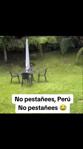 😂😂😂😂  #humor #paratiiiiiiiiiiiiiiiiiiiiiiiiiiiiiii #cesaracuña 