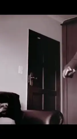 Wake Up! 