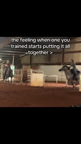 from feral, not hater broke and aggressive to sweet, super broke and one of the best horses i’ve owned within 11 months, love my jo girl❤️ #lilmissjonesy #makingmyown #trending #foryou #barrelhorse 