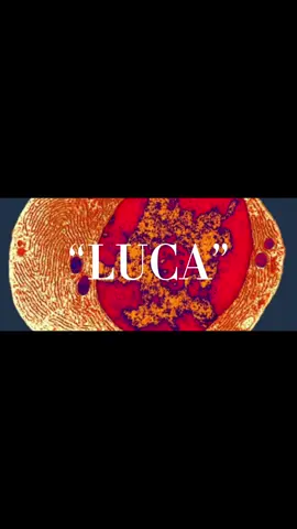 #CapCut “LUCA”, the last universal common ancestor. . #Science #animals #conservation #fyp 