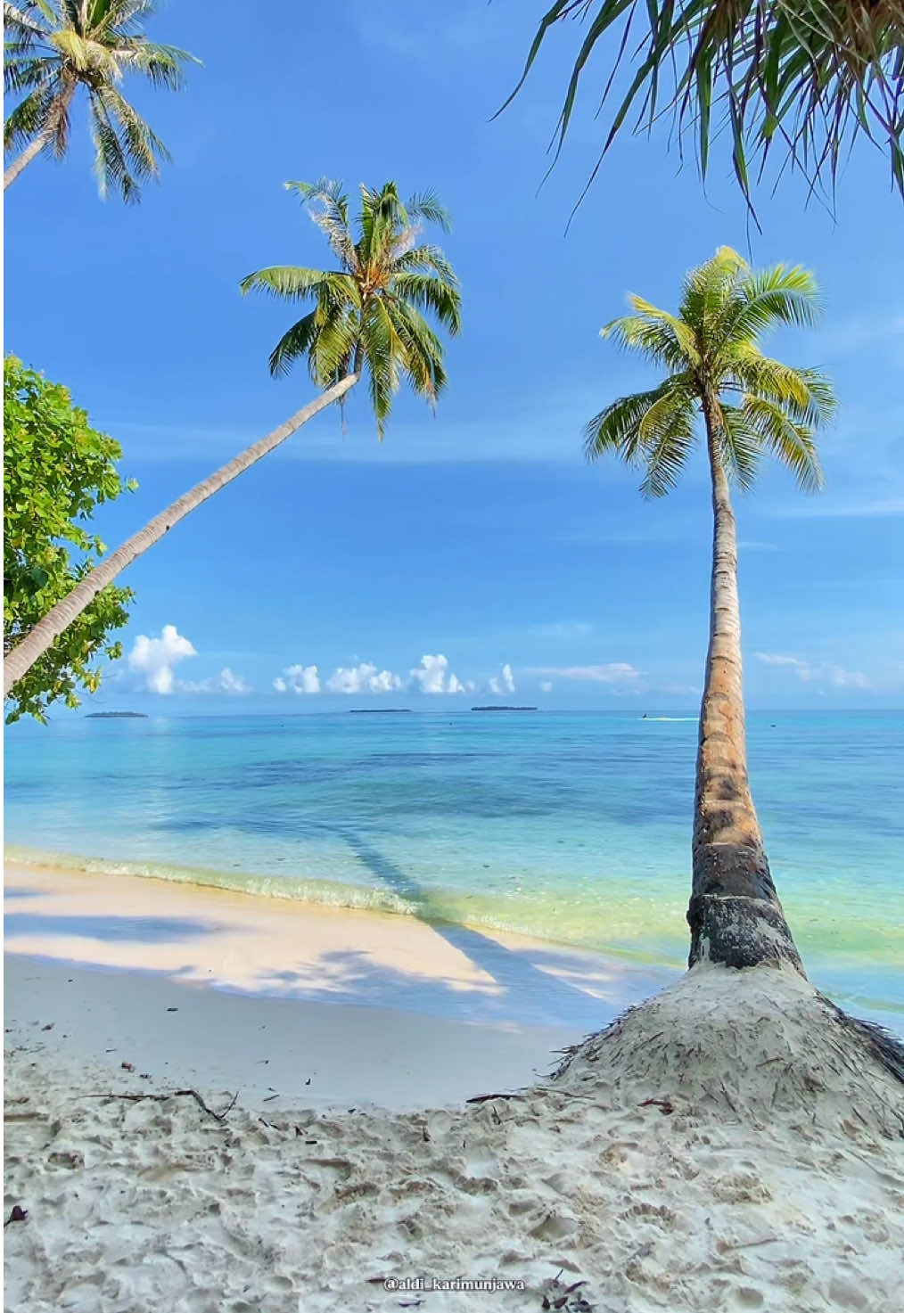 Bulan Agustus cuaca dikarimunjawa secerah ini, kamu malah memilih rebahan dirumah..!! 🤩 More info & Reservation?  Whatsapp : +6282243870453 www.aldikarimunjawa.com #karimunjawa #karimunjawaisland #tanjunggelam #fyp #fypviralシ 