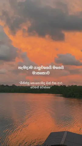 🙂 #srilankatiktok🇱🇰 #fypシ゚ #relatable #quotes #thoughts 