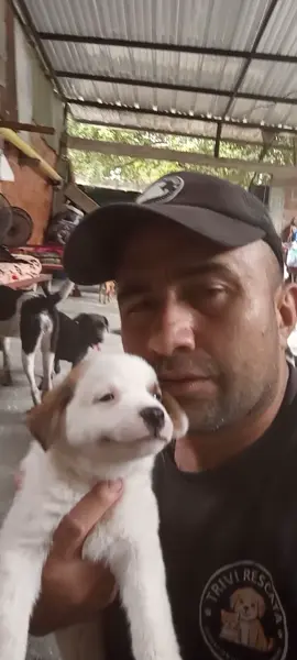 #ayudenme_a_hacerlo_viral #paratiiiiiiiiiiiiiiiiiiiiiiiiiiiiiii #perritos #paraty #fy @Julian Pinilla @yeison_jimenez @Yef @Cintia Cossio 