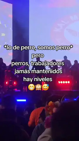 #chinitodelande  #concierto  #santarosadelima  #dalemeencanta♥️ 