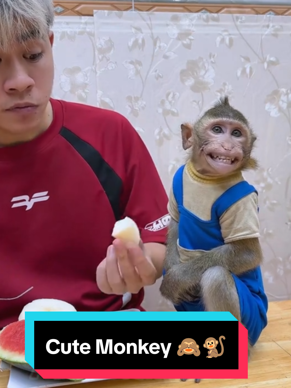 Cute Monkey Funy Videos for lovers.  #viralanimals #NANA #Monkeybaby #Funy #Monkey 