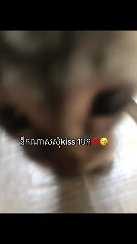 #fypシ゚viral #creatorsearchinsights2025 #som❤️mneak_muy_pg_ #នាទីធ្លាក់like💔🙃 #សុំ❤️ម្នាក់មួយមក💗 
