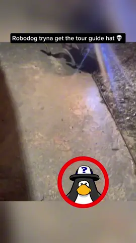 Just give it the hat bro 😭 #clubpenguin #tour #robot #technology #security 