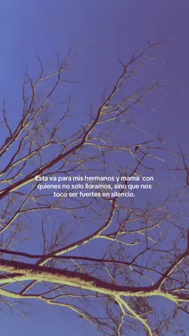 Se que siempre nos cuidas desde el cielo pa ❤️‍🩹💫 #miangeldelcielo #familia 