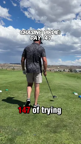 Chasing birdie day 147!!  #golf #golftiktok #golftok 