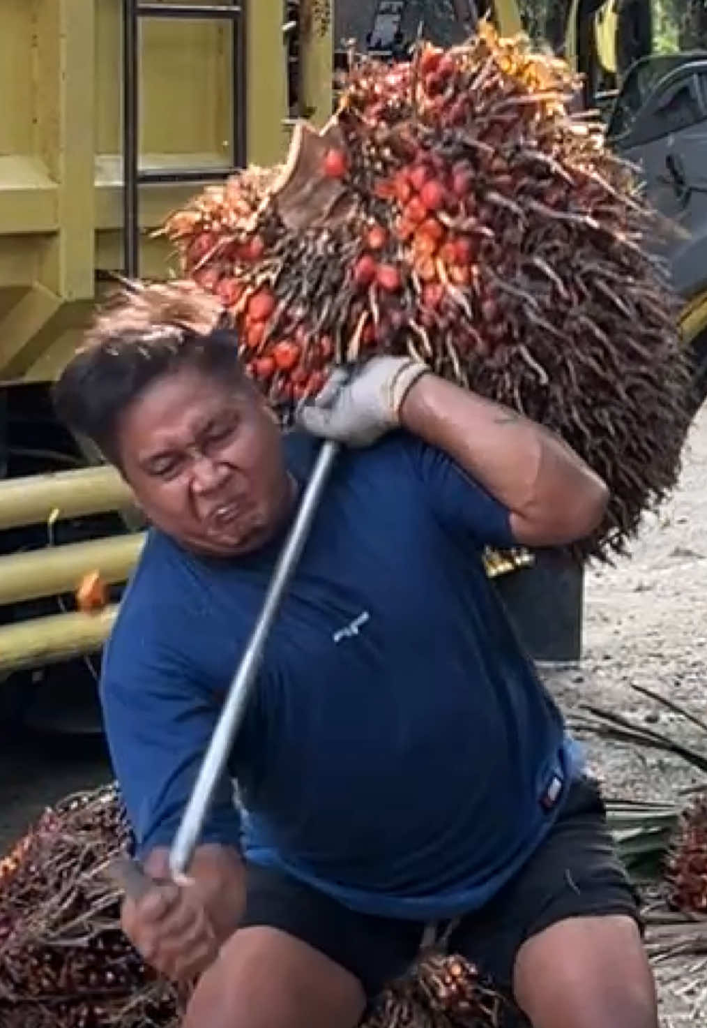 5 kilo lagiii #fyp #sawitriau #truksawit 