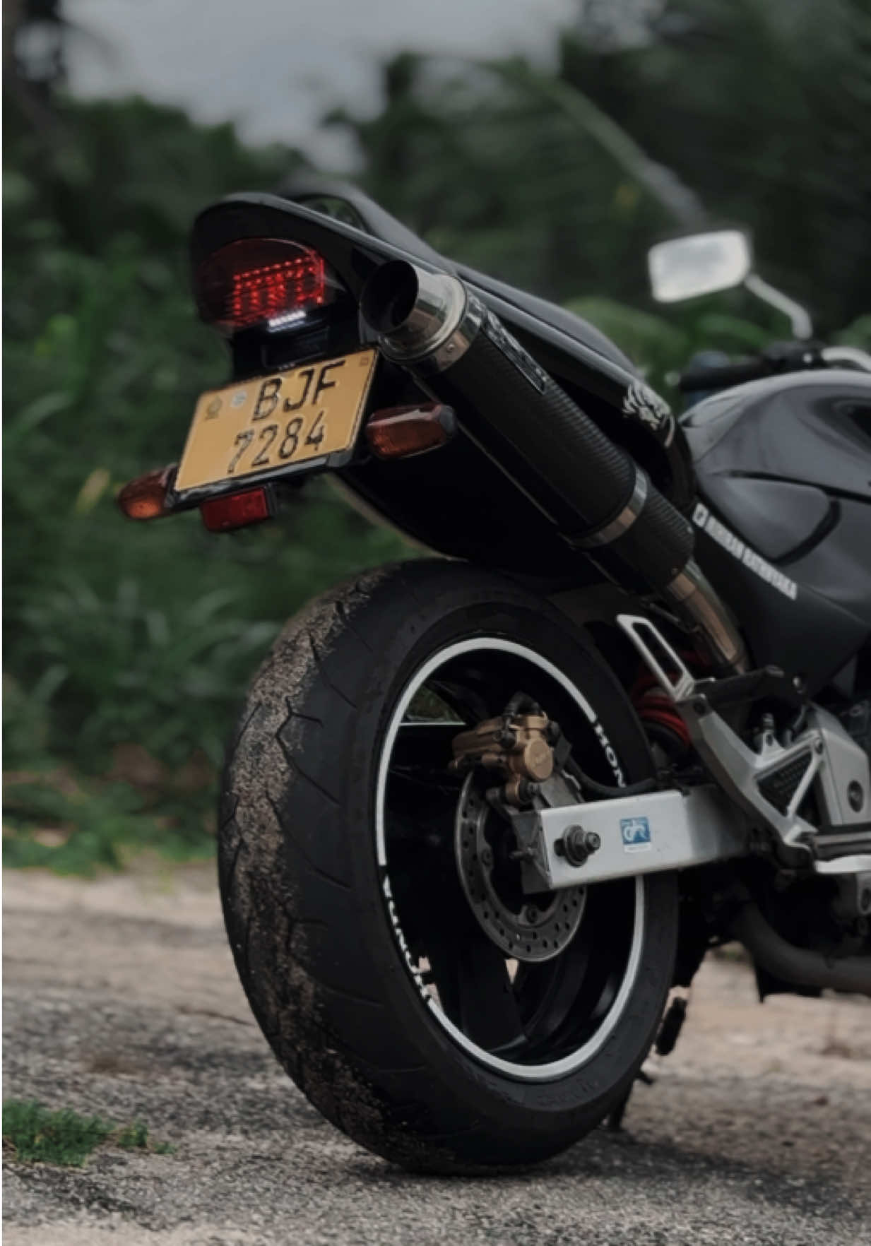 අවුරුද්දකින් 17000kmක් දුවපු එකෙක් ඉන්නවනම් comment එකක් දාගෙන යමු.😌💀 #honda #hornet #250cc #foryou #foryoupage 