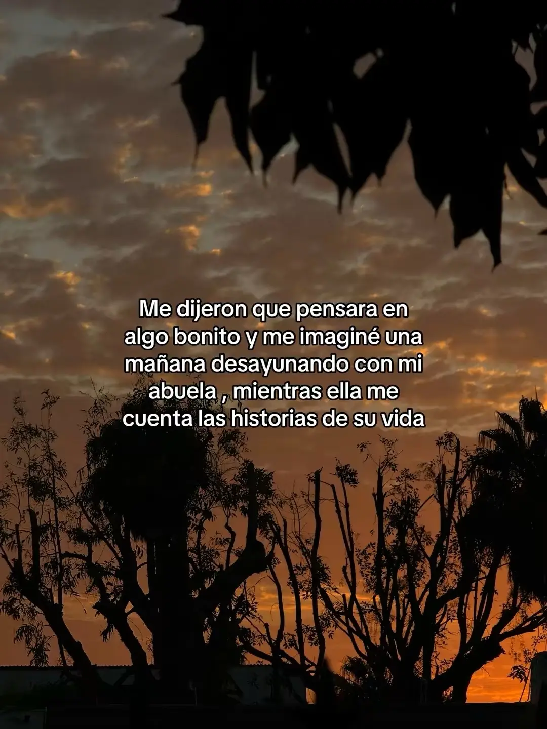 #parati#paratii#paratiiiiiiiiiiiiiiiiiiiiiiiiiiiiiii#abuela#miangeldelcielo