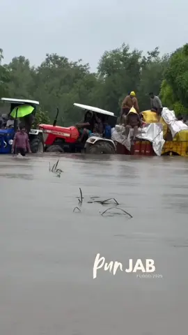 ਪੰਜਾਬ ਹੜ ਪ੍ਰਭਾਵਿਤ  Punjab flood 2025 #punjab #wahaguru_ji #2025 #sewa #flood 
