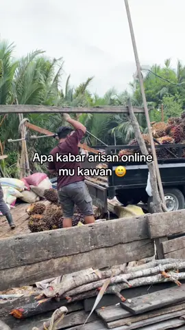 Udah cair kah?😃#petanisawit #petanimuda #sawitriau #trending #foryou 