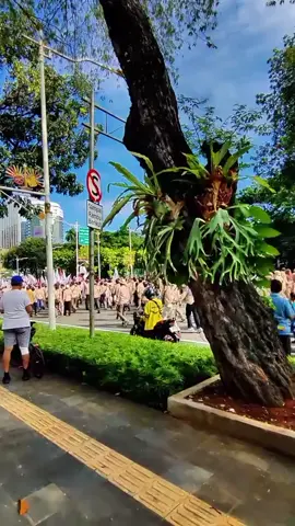 update terbaru 28 Agustus 2025 demo DPR mulai merapat.. . #demodpr #2025 #jakarta #dpr #fyppppppppppppppppppppppp 