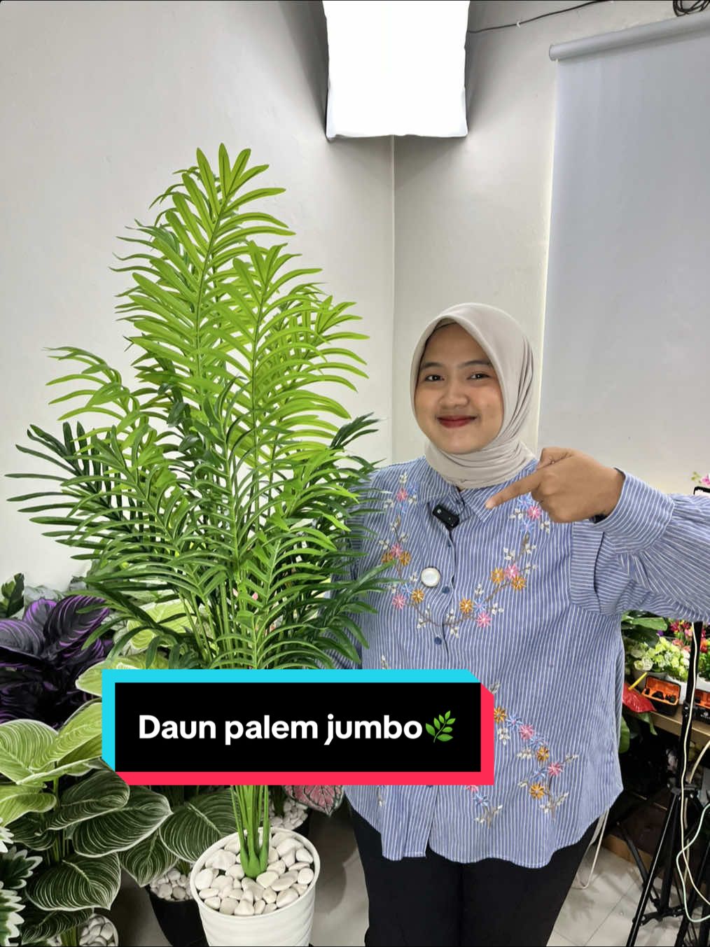 Bikin rumah makin estetik dengan DAUN PALEM JUMBO🌿 Cocok buat dekorasi ruang tamu,kantor,atau sudut favorit kamu🤩🌿🪴✨ Udh dapat pot cantik, tinggal taruh dah✨ 📌stok terbatas jangan sampe kehabisan  #tanamanhias #dekorasirumah #dekorasikantor #fypシ゚viral #fypindonesia 