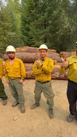 Shelton, WA Bear Gulch Fire. California Incident Management Team 7 sent us to assignment after briefing to help spilt wood for the community and the end result was this…