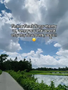 #নিজেকে নিজেই চিনতে পারলাম না, আরেক জন নাকি আমাকে হাড়ে হাড়ে চিনে ফেলছে, অদ্ভুত#foryoupage #bangladesh🇧🇩 #viraltiktok 