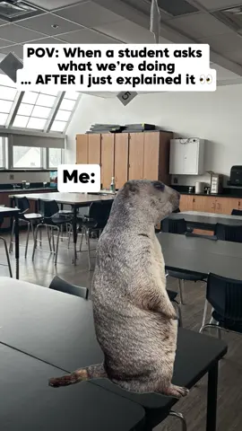 Me: gives directions 3 different ways + puts them on the board Student: ‘So what are we doing? My brain: buffering 🖥️💀 #TeacherTok #RelatableTeacher #DirectionsWereGiven #MiddleSchoolLife #TeacherHumor