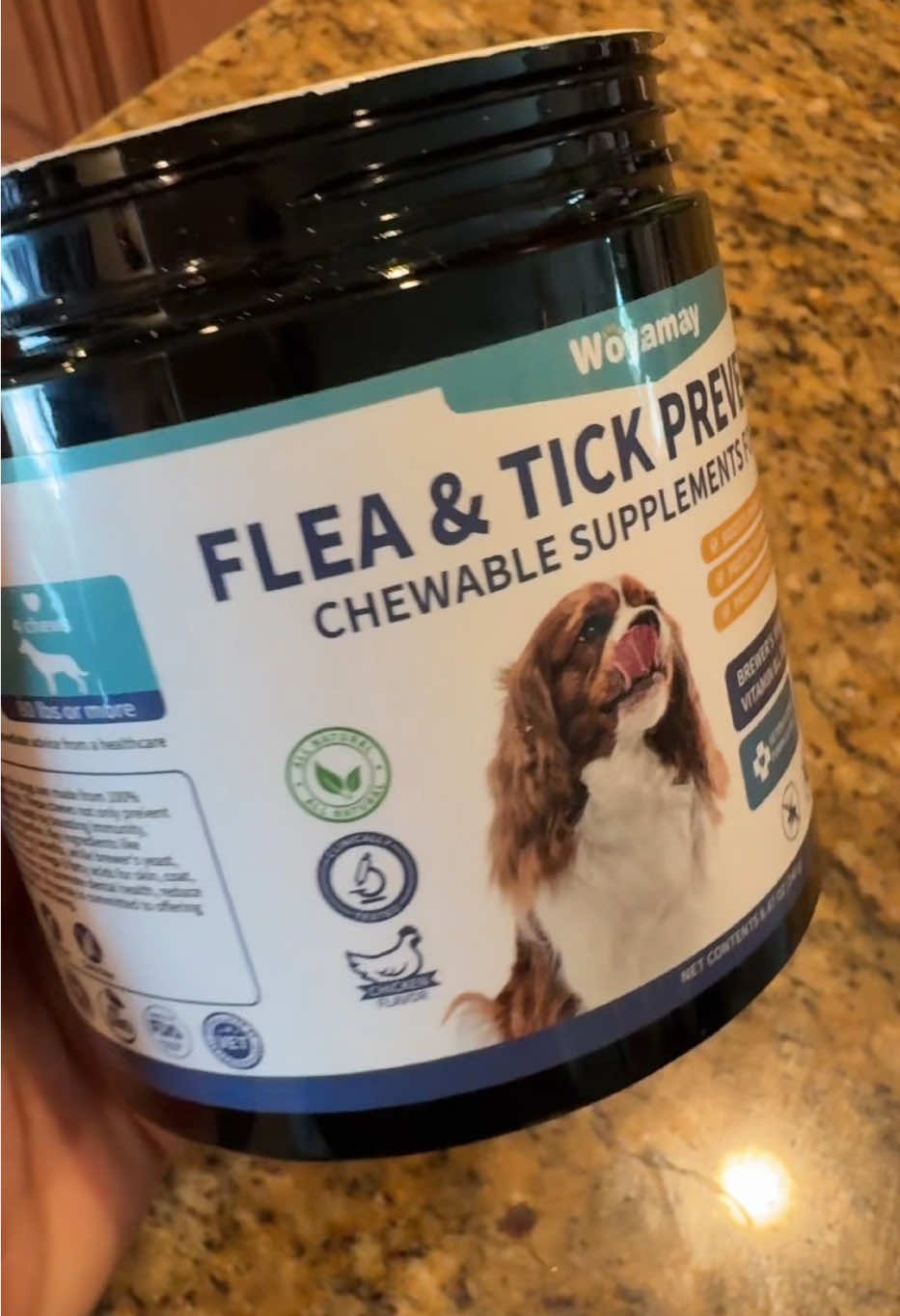 #creatorsearchinsights Suggested title and hashtags Title: A Day in the Life of Your Dog #dogroutine, #doggrooming, #petcare, #dogsoftiktok, @Woyamay Pet 