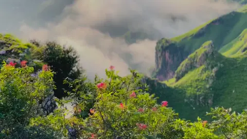 کوئل تے بلبل سوال کیتا 🪷⛰️ قلعہ کرجائی 🖤 #wade_e_banah 