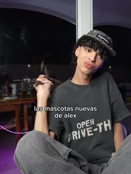 k: alexomar @alex omar   #alexomar   #parati #fyp #Viral #rai       