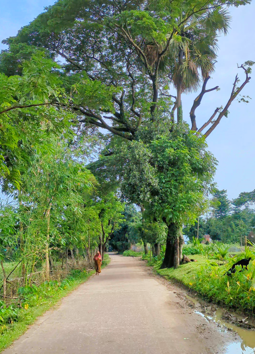 সে জানে আর, আমি জানি, ভালোবাসি কতোখানি,।🩷🫶🌿 #foryou #foryoupage #netural #tiktok #viralvideo 