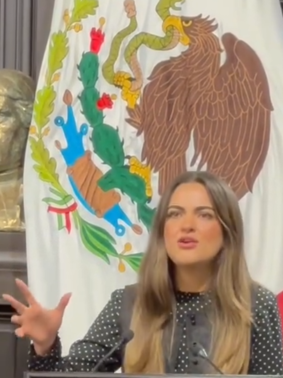 De manera magistral la diputada @Andrea Chávez defiende a nuestro querido México! Los pitufos de la aldea ya se van!!! #Prian #enelbasurerodelahistoria 