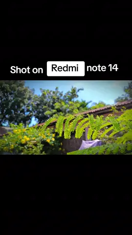 Redmi note 14 camara test 🤍 #redminote14 #camara #foryoupage #foryou #fyp @Xiaomi Bangladesh @TikTok Bangladesh @TikTok @For You 