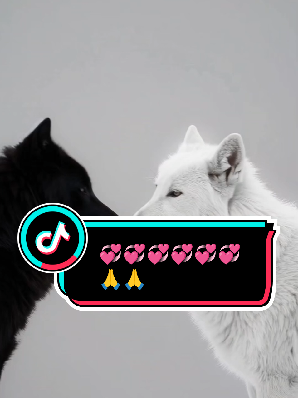 Love's 💞💞💞 Animals @ADELE💋 #foryoupage #fyp #1million #trending #Love 