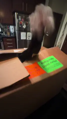 You’ve heard of Jack in the box before, but have you heard of cat in the box? #cute #cat #pet #funny #meme