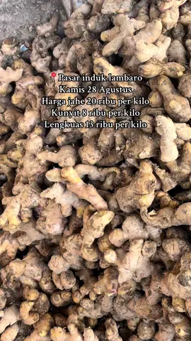 Jahe kunyit dan lengkuas #rempah #updatehargapasar #pasarlambaro #acehbesar 