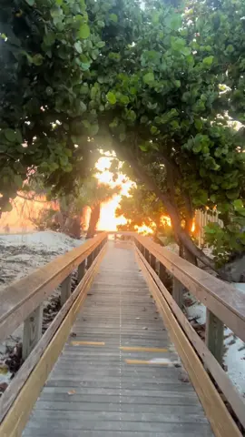 You have to be in really good shape to make it from the parking lot to the gulf in Bonita Springs #lattitude26 #sunset #bonitabeach #floridacheck #realtor 