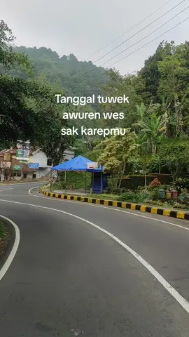 Awuren wess..