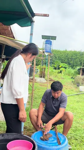 อย่าหวังหัวหน้า ใช้ดุแล้วมุขนี้นะ #คลิปตลก #fannyreels #fannyvideos